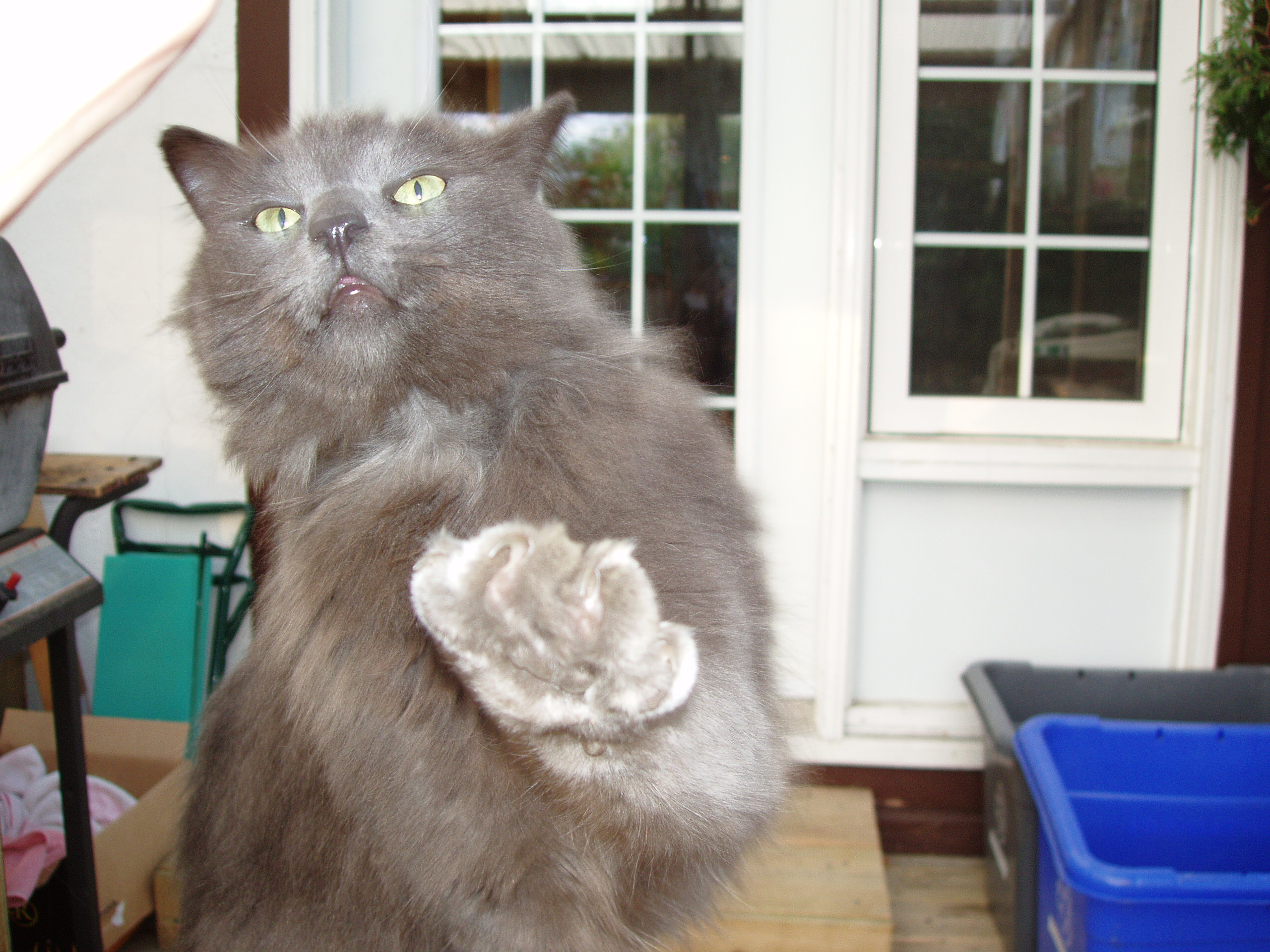 Reach out and touch someone!